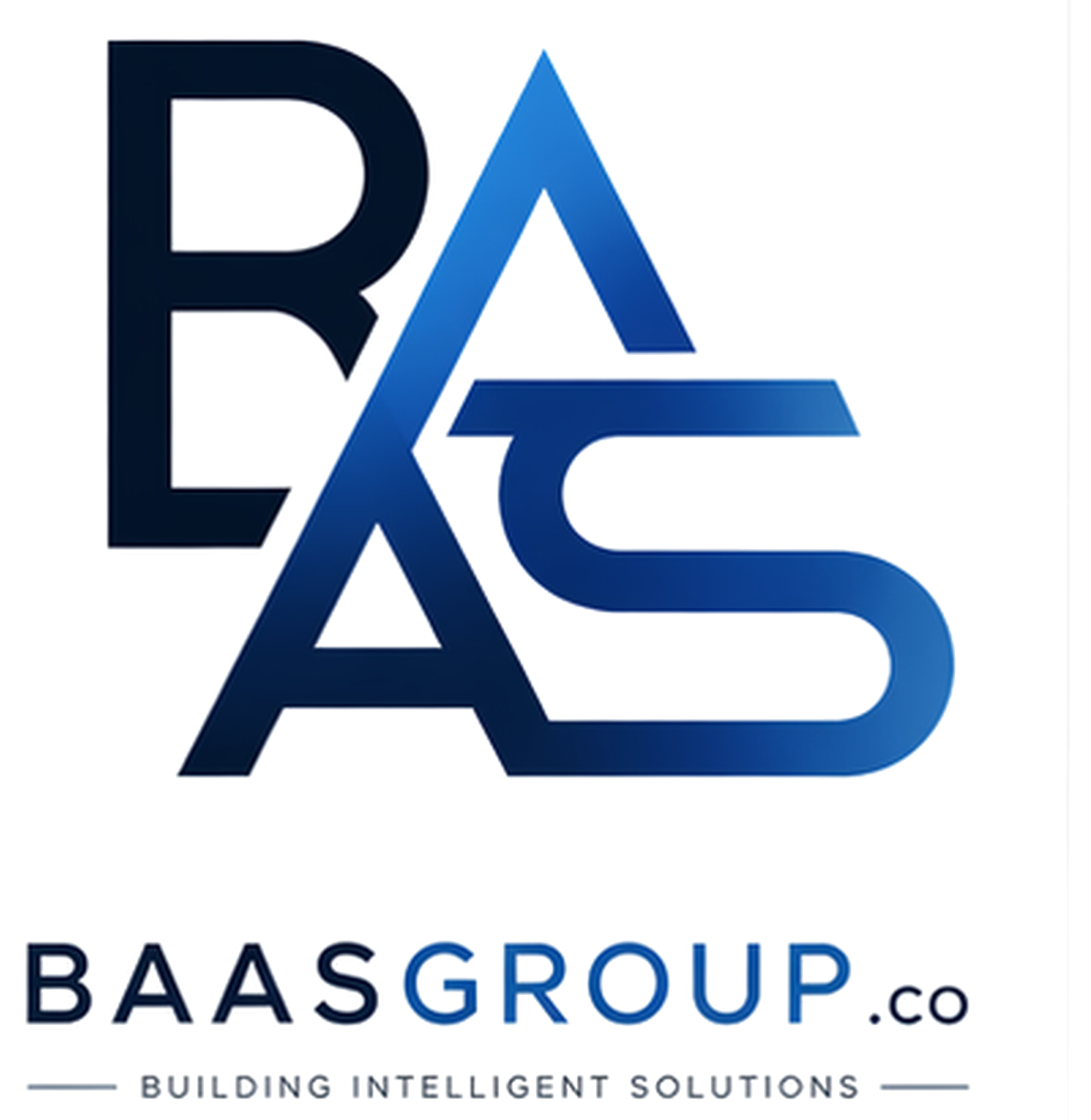 BAASGROUP.co logo
